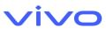 Vivo AC Adaptateur